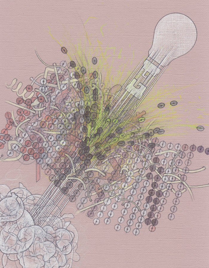 Untitled (detail) Pencil on paper 30cm x 30cm © 2009 Tammy Lu