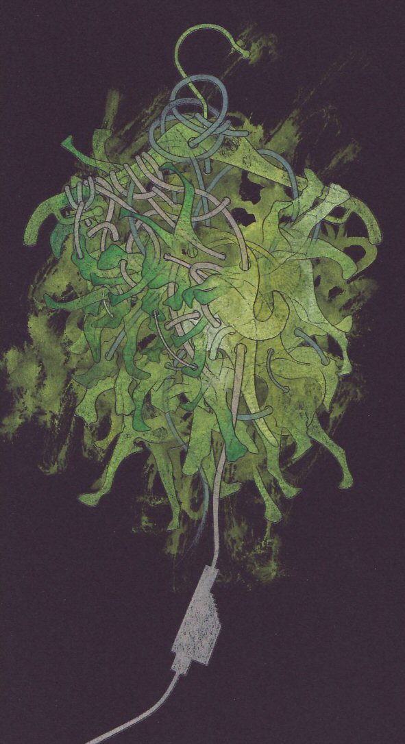 Untitled Pencil on paper 16cm x 27cm © 2009 Tammy Lu