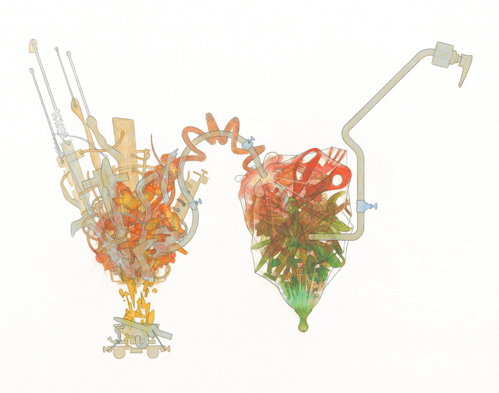 W Pencil on paper 65cm x 50cm © 2011 Tammy Lu